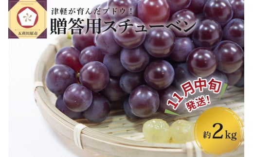 【2025年11月中旬発送】 青森ぶどう 贈答用 スチューベン 約2kg 化粧箱入