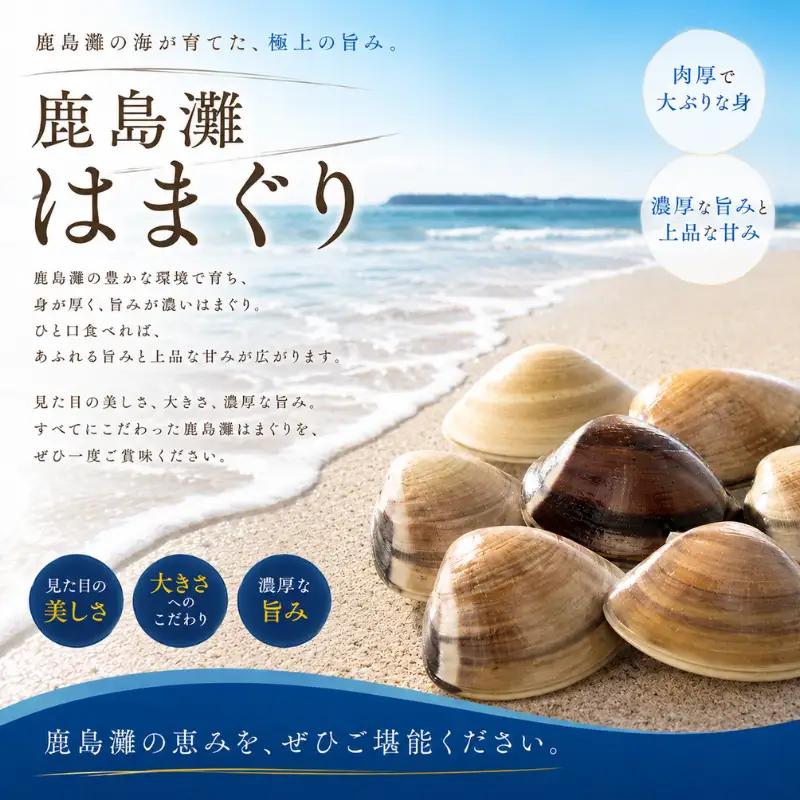 【 はまぐり 】 約3.2kg 15～30個 大粒 はまぐり