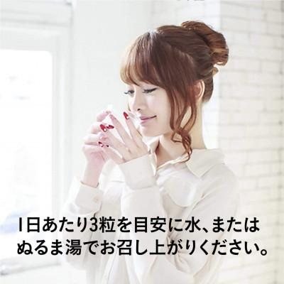 ふるさと納税 上郡町 【ファイン】トマトと酵素のチカラ 30日分 |  | 03