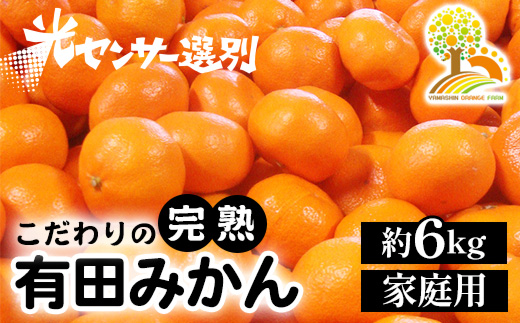 ＼光センサー選別／こだわりの有田みかん 約6kg 【ご家庭用】 有機質肥料100% ※2024年11月中旬頃～2025年1月頃に順次発送予定 ※沖縄・離島への配送不可