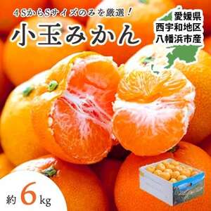 【発送月固定定期便】愛媛みかん小玉6kg(訳)×甘平3kg(訳)【G25-261】全2回【4071215】