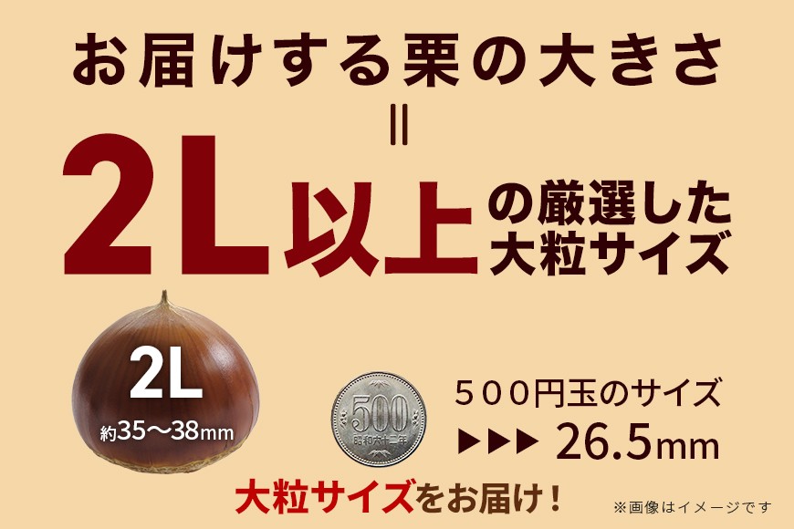 生栗 2kg 利平 栗 くり 国産 2L サイズ 以上 大きい 大粒 取り寄せ 笠間 茨城 和栗 甘栗 低温熟成 ギフト プレゼント 秋 旬 おやつ スイーツ 果物 フルーツ 栗ご飯 栗きんとん 栗お