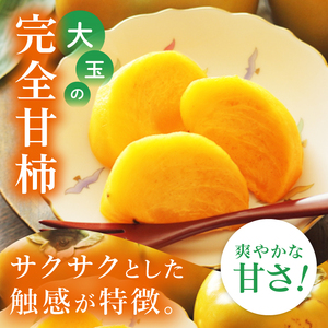 【2026年10月上旬より順次発送】【数量限定】太秋柿 約2kg（6-8玉）【フルーツ 果物 柿 甘柿 完熟 くだもの デザート おやつ 水戸市 茨城県】（MA-4）