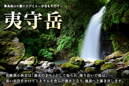 シリカ 天然水 霧島のおいしい水 2L 12本 中硬水 ミネラルウォーター シリカ水 ケイ素 常温保存 備蓄 防災 宮崎県