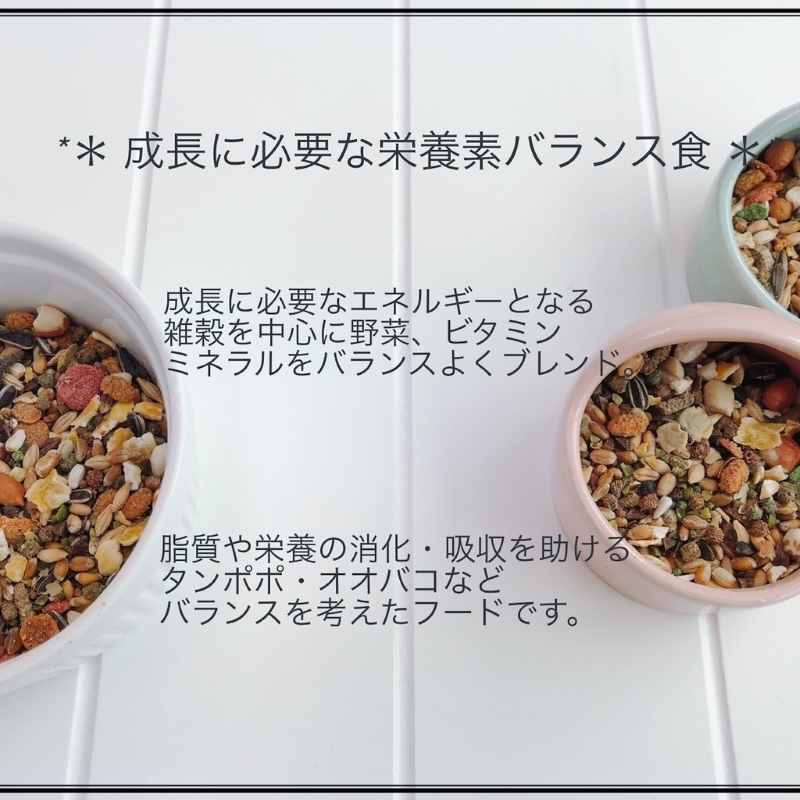 fuu うまうまセレクション リス ・ハムミックス＋（3kg）［145S33］_イメージ3