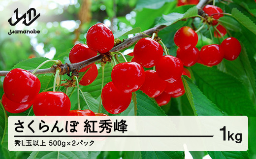 
                  山形県産 さくらんぼ 紅秀峰 バラパック詰 秀 Ｌ玉以上  1kg (500g×2) 2025年6月下旬から順次発送 果物 フルーツ nf-bsbpx500x2
                