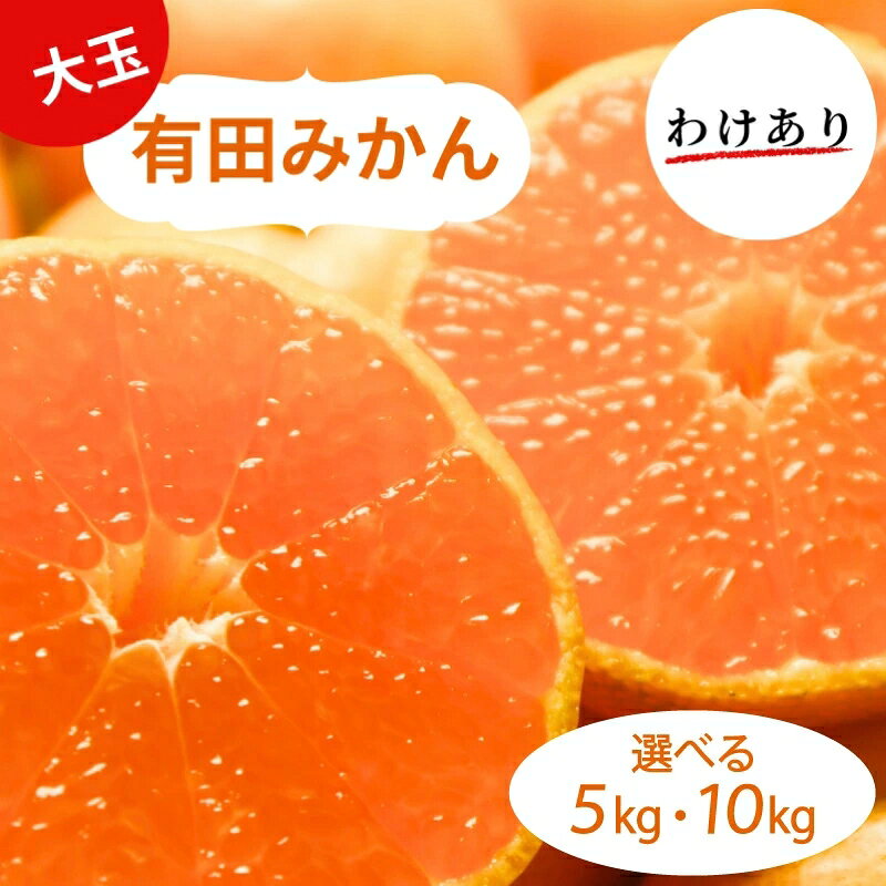【ふるさと納税】 和歌山県産 有田みかん 大玉 2L 〜 3L 訳あり 選べる容量 5kg 〜 10kg ※2026年10月中旬〜2027年1月中旬頃に順次発送予定（お届け日指定不可) ミカン 柑橘 みかん 有田みかん 和歌山
