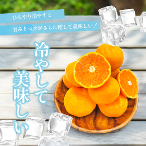 〈夏季限定！申込8/17まで〉温室育ちの温州みかん2.0kg(約15～25個)【甘い 夏のミカン オレンジ ハウスみかん 早生 冷やして 柑橘 フルーツ 果物 愛媛 砥部 JA  8月 9月 】