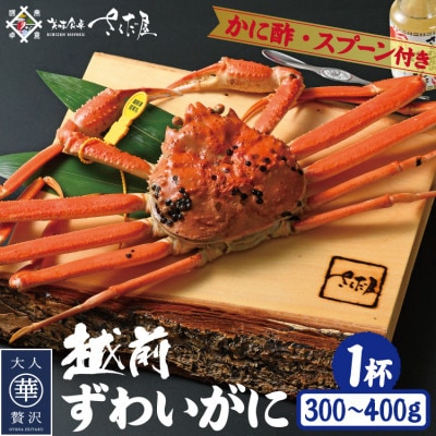 浜茹で越前ずわい約300～400g　1杯　かに酢＆かにスプーン付き【配送不可地域：離島】【1404900】
