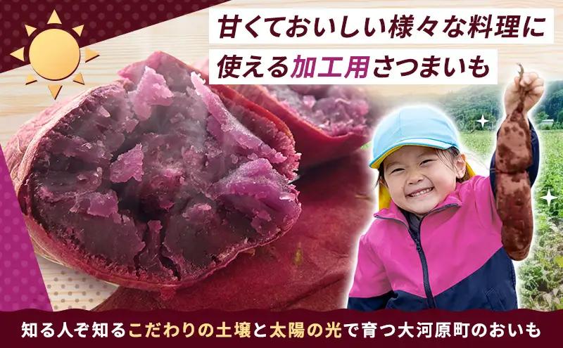 さつまいも 約5kg ふくむらさき 加工用 サツマイモ