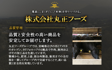 えびの高原 ビーフジャーキーセット 30g×5パック 合計150g 牛肉 珍味 おつまみ お酒のお供 燻製 家飲み おやつ 常温保存 国産 宮崎県 えびの市 発送時期が選べる 送料無料