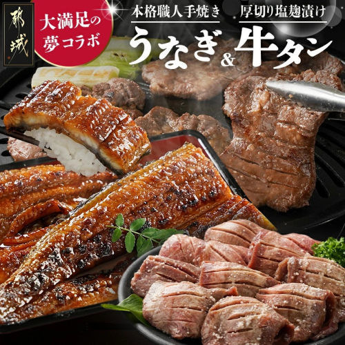 大満足の夢コラボ☆うなぎ&厚切り牛タンセット_AC-3308