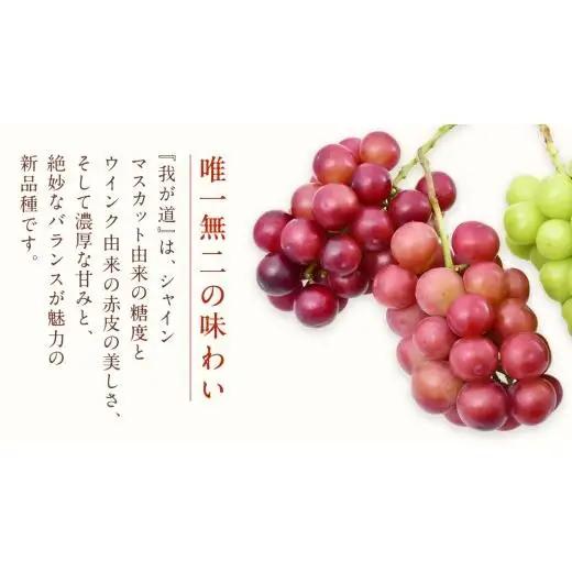 我が道 ２房【2026年9月上旬発送開始】(茨城県共通返礼品：大子町)