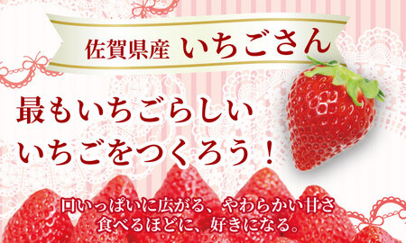 【先行予約令和8年1月配送開始】佐賀県産 いちごさん （ 240g×8P ）有明・潮風ファーム 直送品 果物 くだもの フルーツ 人気 ランキング 高評価 苺 イチゴ C250-015