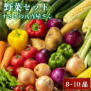 【ふるさと納税】 野菜詰め合わせ セット (8～10品) 日時指定 可能 南国 土佐の新鮮 お野菜 やさい ベジタブル 旬 季節野菜 詰め合わせ ふるさと納税野菜 ふるさと納税 国産 春夏秋冬 旬 人気 須崎 高知 すさきの八百屋さん NK006