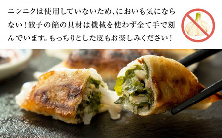 わかめ餃子　48個セット