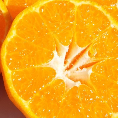 
若水の香りきわ立つ「西宇和ポンカン」約4kg＜C28-4＞【1119725】
