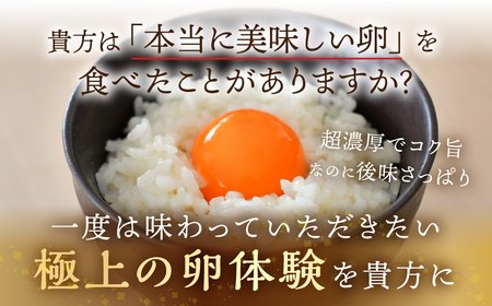 【感動の卵体験】コク旨 極上卵 60 個 割れ保証付き