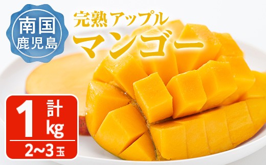 ＜先行予約受付中・2026年6月下旬～7月下旬頃に発送予定＞＜数量限定＞完熟アップルマンゴー「紅」(計1kg) マンゴー 果物 フルーツ【大徳産業】 A389-v02