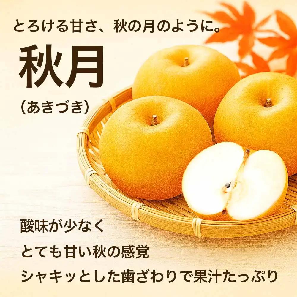 先行予約　定期便3回  梨  豊水 秋月 新高 　 約3kg   【2026年8月上旬～2026年10月下旬配送予定】