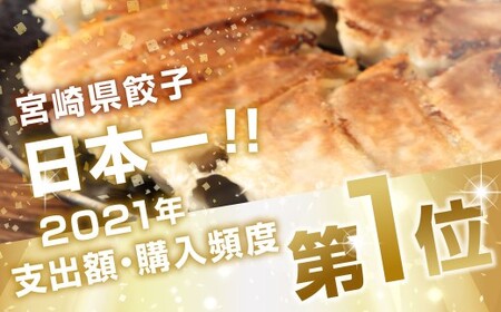 たかなべ ギョーザ 餃子 国産 肉 小分け 惣菜 人気30個
