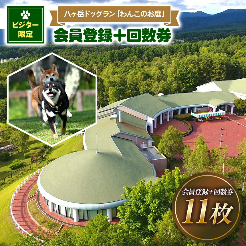 【ふるさと納税】 ドッグラン 利用券 【ビジター限定】 八ヶ岳 ドッグラン 「 わんこのお庭 」 会員登録 ＋ 回数券 11枚 | 犬 わんちゃん 旅行 自然 広い 信州 八ヶ岳 長野県 諏訪郡 原村
