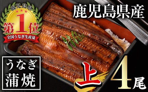無投薬！鹿児島県産うなぎ蒲焼セット＜上＞(計560g以上・ 140g以上×4尾) タレ・山椒付き 鰻 ウナギ 国産【西日本養鰻】B144-v01