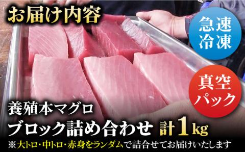 本マグロ (養殖) ブロック 詰合せ （柵） 計1kg 五島市/奥浦海鮮直売所 [PCL001]