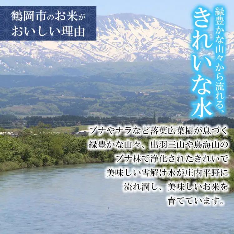 【令和7年産】 特別栽培米 はえぬき 玄米 5kg (5kg×1袋)　山形県 庄内産 　| 5キロ 米 お米 コメ 食品 ご飯 ごはん 美味しい おいしい ブランド米 庄内米 エコ包装 おすすめ 人気