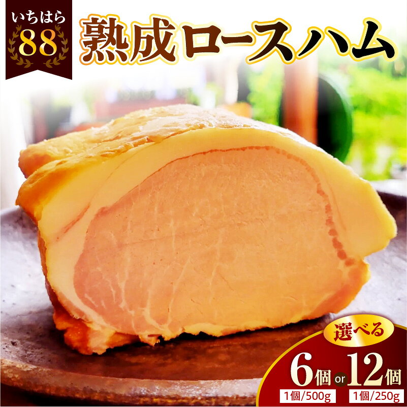【ふるさと納税】 いちはら88 熟成 ロースハム ( 選べる内容量 : 約250g × 12個 / 約500g × 6個 ) | 肉 豚肉 豚 ハム 養老もち豚 もち豚 おかず おつまみ BBQ バーベキュー 料理 加工品 加工肉 冷凍 小分け ギフト お取り寄せ グルメ 送料無料 市原 千葉県 市原市