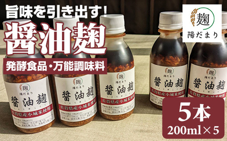 旨味を引き出す醤油麹5本セット B150-021 そよかぜ