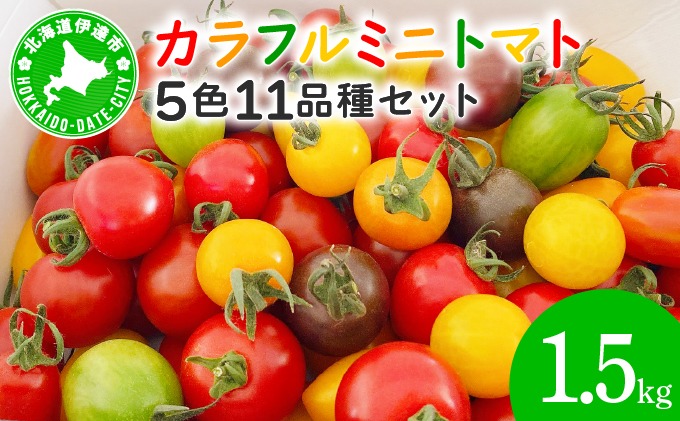 カラフル ミニトマトセット 1.5kg