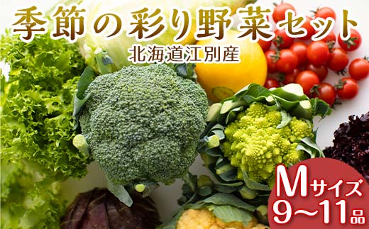 季節の彩り野菜セットMサイズ(9～11品) 野菜 詰め合わせ 新鮮 産地直送 北海道 江別市 EB8-0154