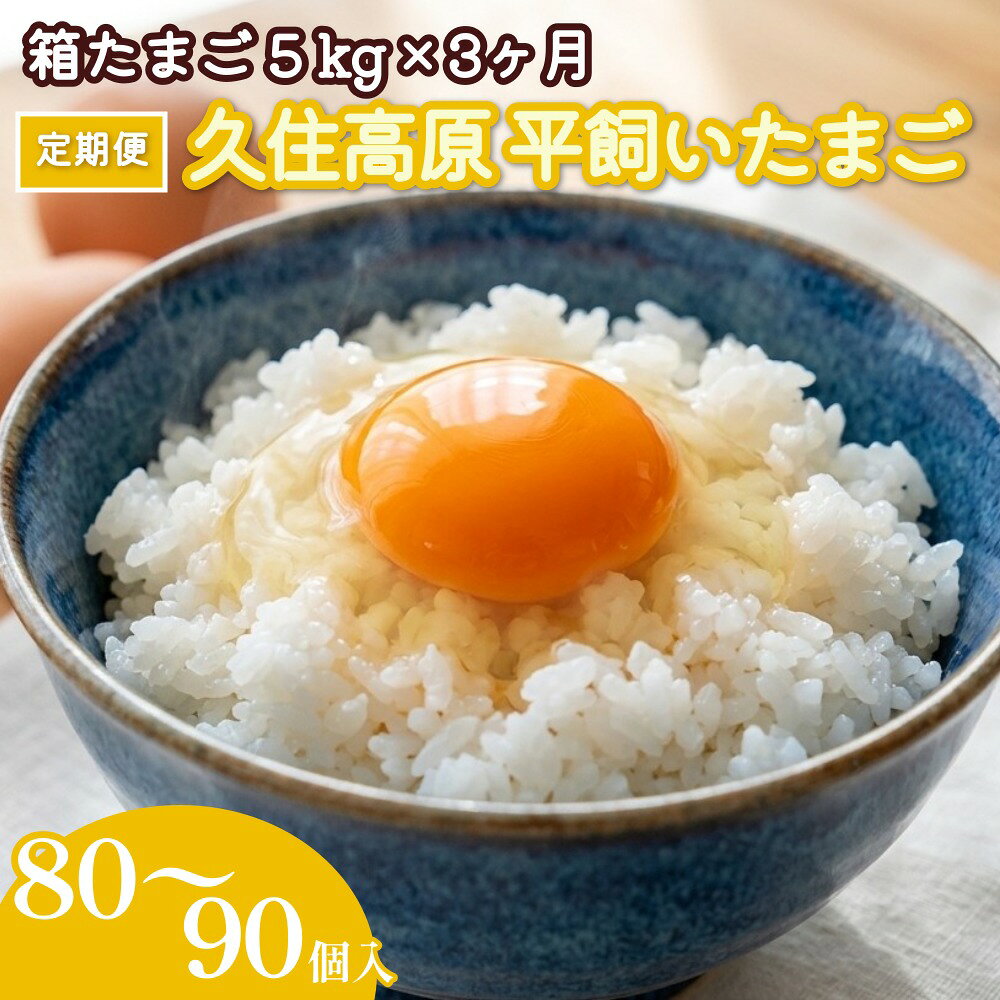 【ふるさと納税】【定期便】久住高原 平飼いたまご 箱たまご 5kg×3ヶ月 80~90個入