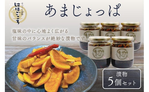 【先行予約】あまじょっぱ(漬物5個セット)【074-0005】