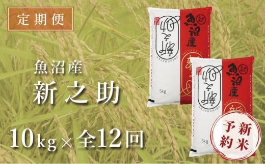 
            【12ヶ月定期便】令和7年産新米 中魚沼産「新之助(しんのすけ)」10kg×全12回
          