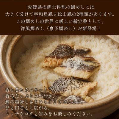 ふるさと納税 西予市 <愛媛の洋風鯛めしセット3袋>鯛 真鯛 まだい マダイ 天然真鯛 郷土料理 丼 魚介 |  | 01