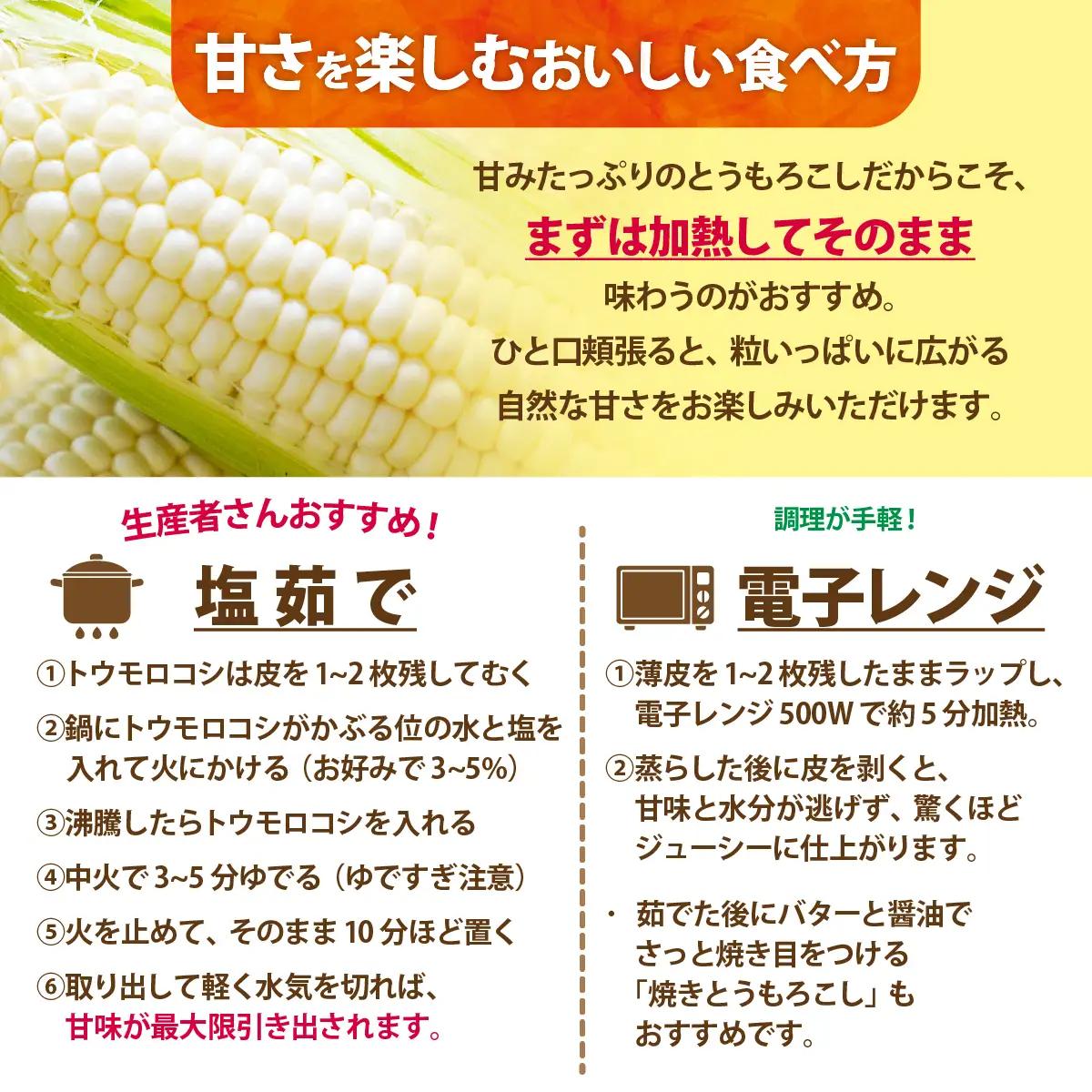 ＜2026年8月中旬頃よりお届け＞【訳あり】【朝採り】ピュアホワイト（ホワイトコーン）Lサイズ以上12本(約5kg)   SBTQ016