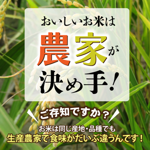 増田農園 凰輝米 ゆめぴりか精米10kg｜ふるさと納税 米 お米 白米北海道 石狩市