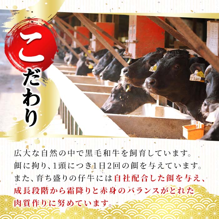 n162 ＜A4ランク＞鹿児島県産黒毛和牛モモすき焼き用(計600g・300g×2P)【株式会社Meat you】