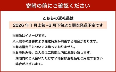紅ほっぺ DX 約260g×4パック 計1,040g 【2026年1月上旬-3月下旬まで順次発送予定】｜ いちご 苺 果物 くだもの フルーツ 紅ほっぺ