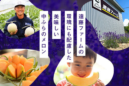 【2026年発送】遠藤ファームの中富良野メロン青肉大玉2玉（計3.2kg以上）【AX-008】