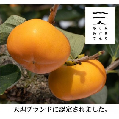 【R7年10月中下旬~11月の発送】種なし柿 2L~L 9個~11個【配送不可地域:離島】