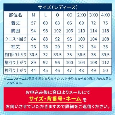 ふるさと納税 福智町 カノアラウレアーズ福岡 オーセンティックユニフォーム(ネイビー) |  | 02