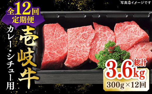 【全12回定期便】 特選 壱岐牛 すね肉 300g（カレー・シチュー用）《壱岐市》【太陽商事】[JDL081] 肉 牛肉 黒毛和牛 ブランド牛 カレー シチュー 赤身 チマキ 煮込み ブロック 国産 お祝い 108000 108000円