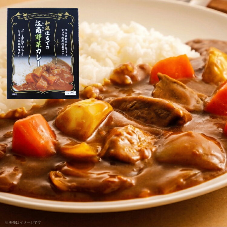 【ふるさと納税】 カレー レトルト 和風仕立ての「江南野菜カレー」 220g 10個 [江南商工会議所 愛知県 江南市 ko23btu330000] レトルト食品 簡単 時短 お手軽 便利 簡単調理