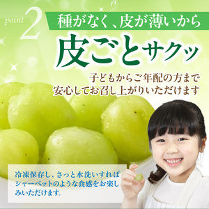 2537R_【先行予約】 農家直送！ 新鮮！ 朝づみ シャインマスカット 約1.5kg 令和7年産 フルーツ 果物 贈答 大分県産 採れたて
