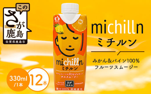 果汁ミックスジュース　ミチルン　330ml×12本　B-763