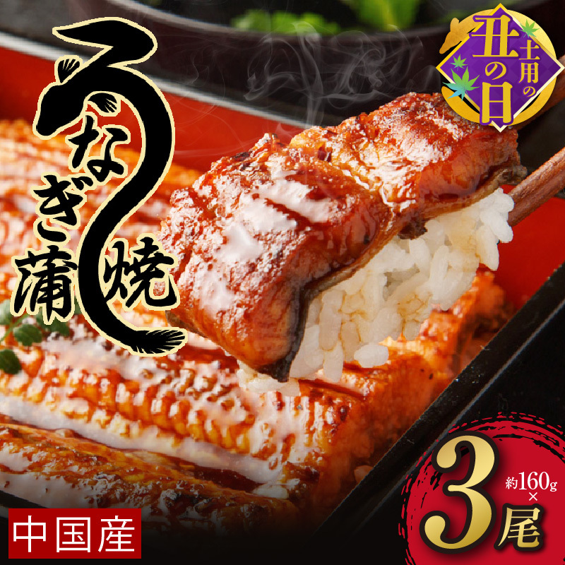 【土用の丑の日までにお届け】秘伝のたれ仕込み うなぎ蒲焼 合計480g（約160g×3尾）鰻 ウナギ 中国産 温めるだけ 簡単 レンジ調理 ふっくらふわふわ 炭火焼き 備長炭 手焼き 先行予約 G18