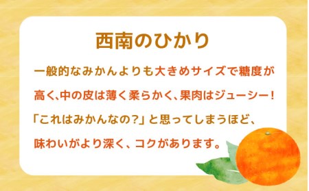 西南のひかり ストレートジュース 果汁100％ （720ml×3本） 長与町/井上柑橘園 [EAA004] ジュース みかんジュース ストレートジュース 100％ジュース